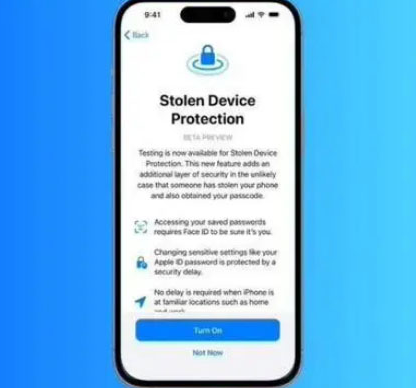 武昌苹果授权维修店分享被盗设备保护功能开启方法 
