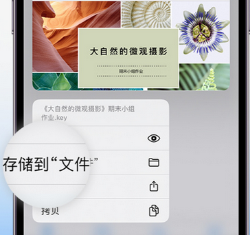 武昌apple维修中心分享iPhone文件应用中存储和找到下载文件