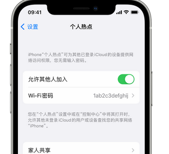 武昌apple服务站点分享iPhone上个人热点丢失了怎么办 