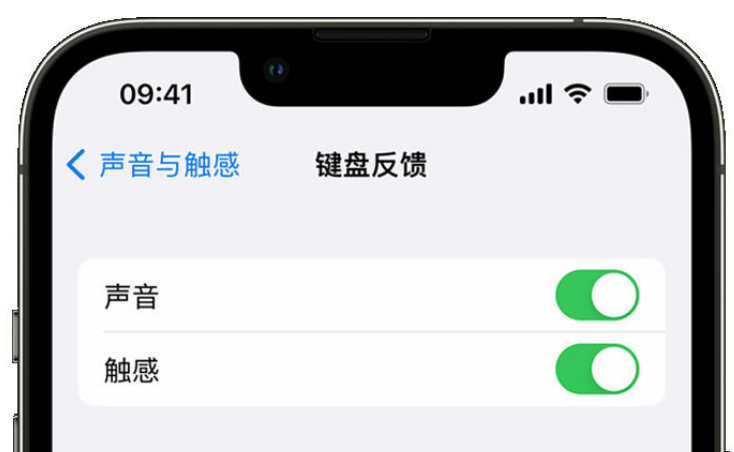 武昌苹果手机维修分享iPhone 14触感键盘使用方法 