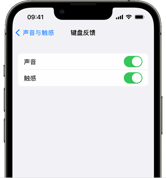 武昌苹果14维修店分享如何在 iPhone 14 机型中使用触感键盘 