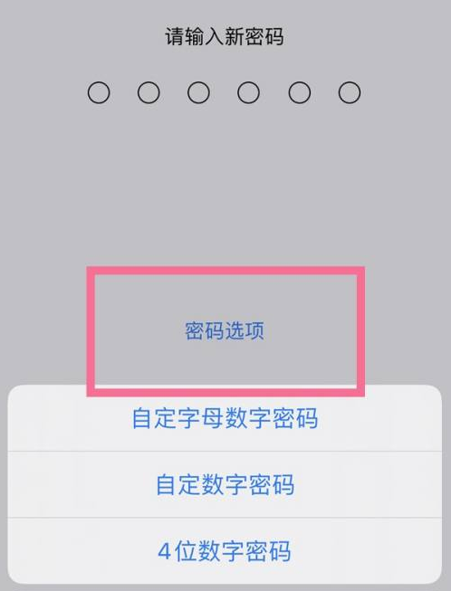 武昌苹果14维修分享iPhone 14plus设置密码的方法 