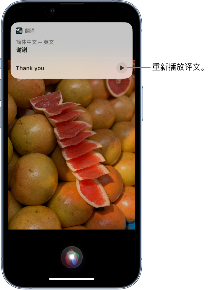 武昌苹果14维修分享 iPhone 14 机型中使用 Siri：了解 Siri 能帮你做什么 