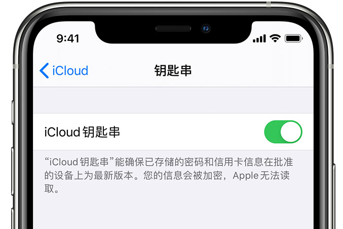 武昌苹果手机维修分享在 iPhone 上开启 iCloud 钥匙串之后会储存哪些信息 