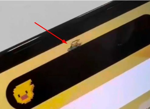 武昌苹果14维修分享iPhone 14 Pro Max灵动岛怎么养宠物 