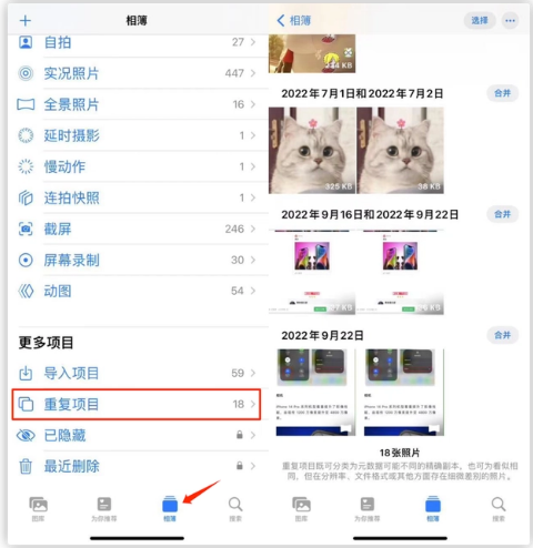武昌苹果手机维修分享iOS 16 中相册重复项目功能使用方法 