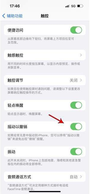 武昌苹果手机维修分享iPhone手机如何设置摇一摇删除文字 