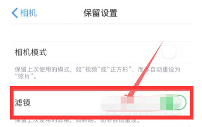 武昌苹果13维修分享iPhone13拍照有绿点是怎么回事 