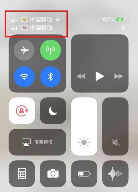 武昌苹果手机维修分享为 iPhone 12 双卡设置标签 