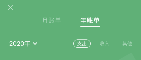 武昌苹果手机维修分享如何在 iPhone 上查看支付宝和微信年支出账单 