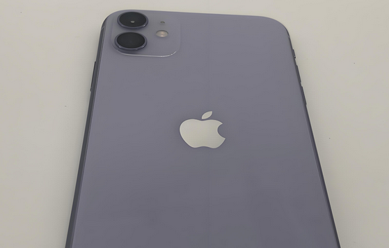 武昌苹果11系统维修分享iPhone11手机系统崩溃无法开机如何解决 